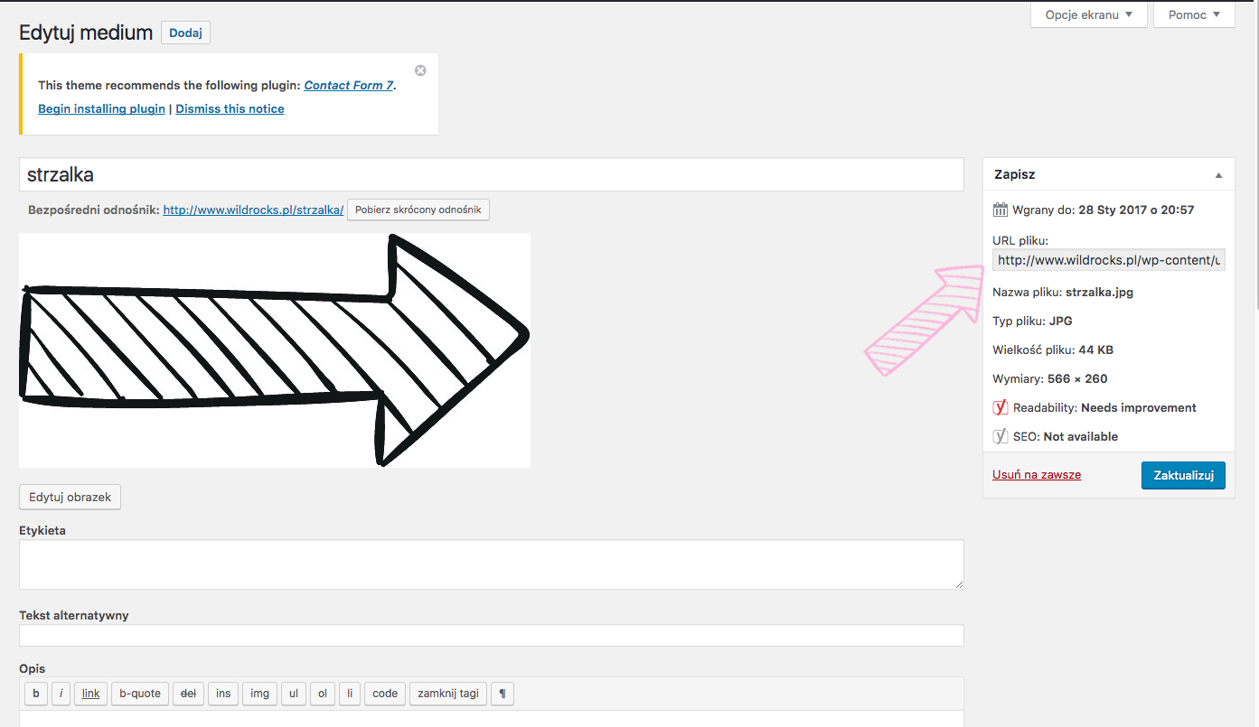 gzie znajde url do pliku ktory wgralam na bloga